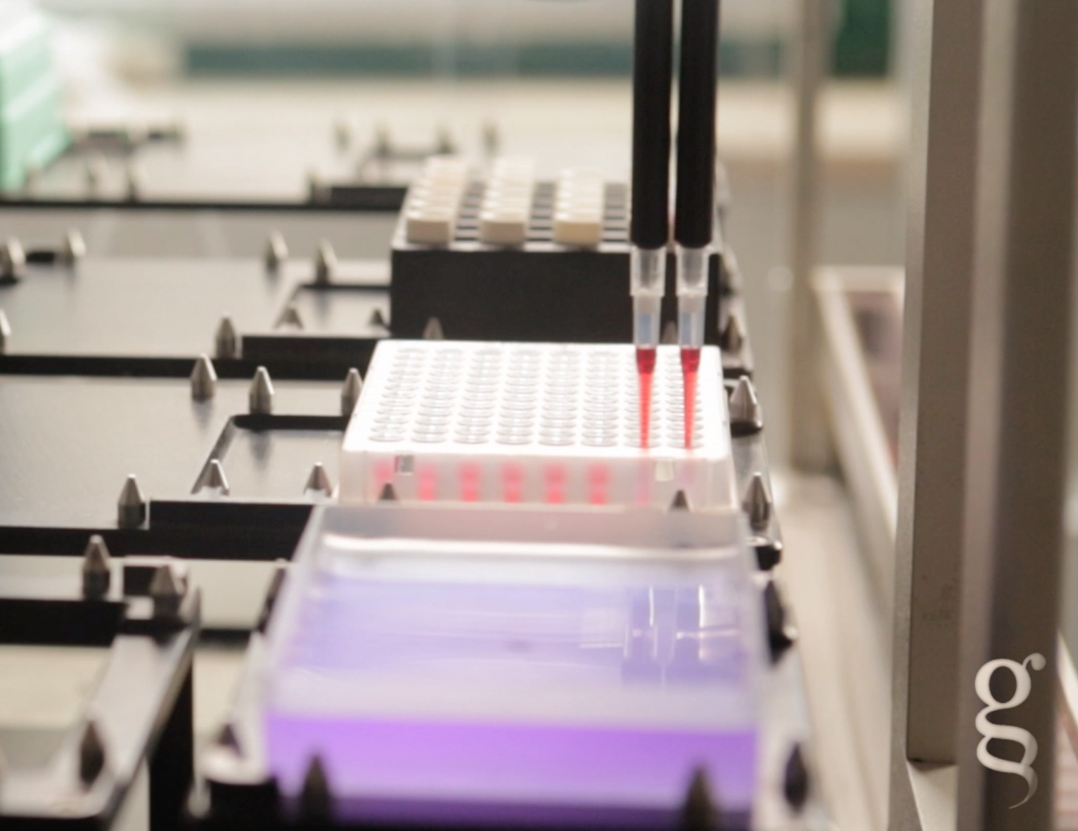 Studio Biogem conferma indispensabilità dose booster per pazienti dializzati